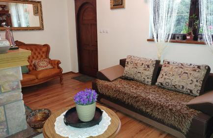 Bieszczadzki Dworek - Foto 17