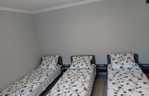 Agroturystyka Leśna Ostoja Borek - Foto 9