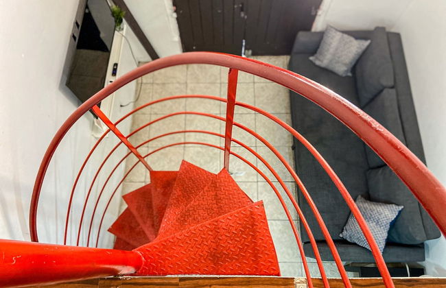 Gladiolas 2103 - Foto 10