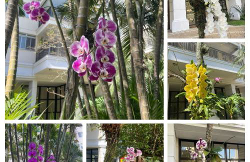 Barra Family Resort com piscina e spa, 2 quartos - Foto 27