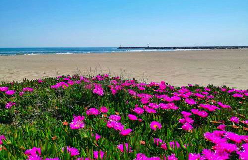 Charmante villa dans village naturiste - Foto 16