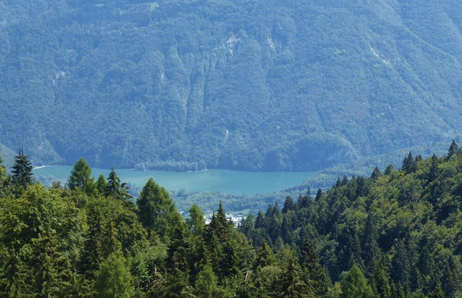 Alpine Getaway for Families - Foto 28