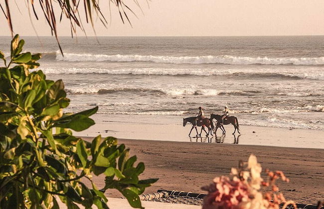 Bali Beach Glamping - Photo 67