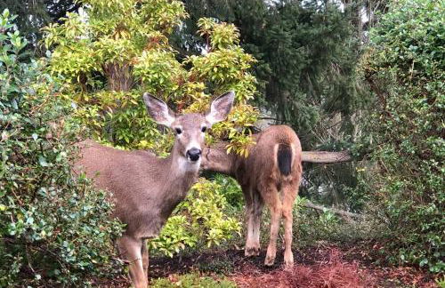 Crash Pad Bed and Breakfast - Foto 29