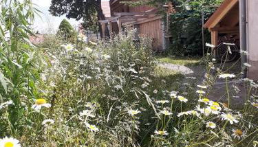 Ferienwohnung Martinsblick - Foto 3, Garden view