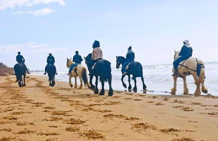 Mary Holiday Home - Foto 18