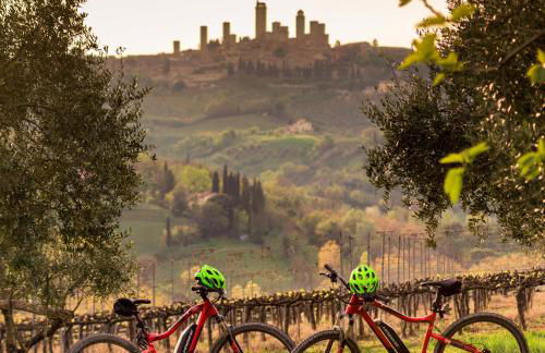 Agriturismo Il Segreto di Pietrafitta - Photo 14