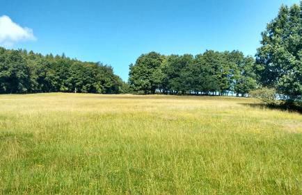 Apartment Haus Sembachtal - Foto 26