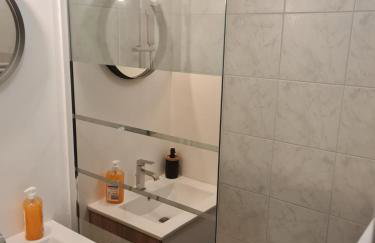 Appartement T2 proche gare et centre ville - Foto 17