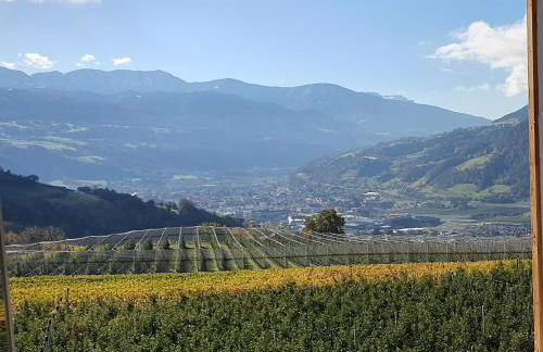 WEINBERG APARTMENTS with Brixen Südtirol Card - Photo 39