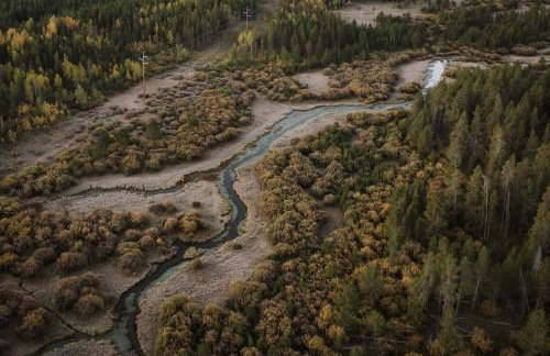 Blue Buffalo Resort - Foto 26