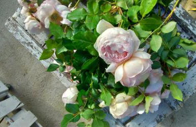 Agriturismo Fondo Gesù - Foto 25