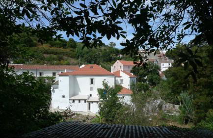 ribeira dos marinheiros amarelo - Foto 1
