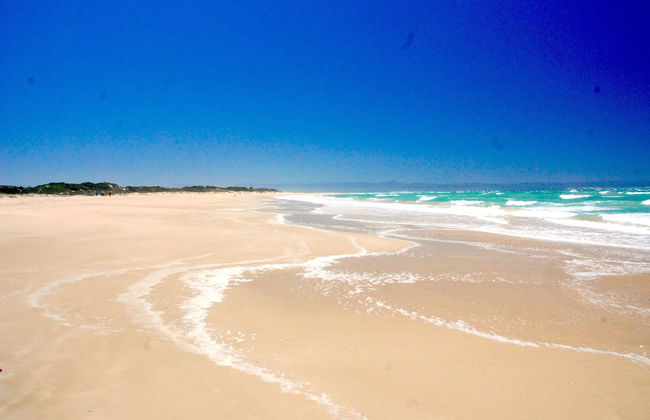 Beachfront Villa Africa Queen Jeffreys - Photo 77