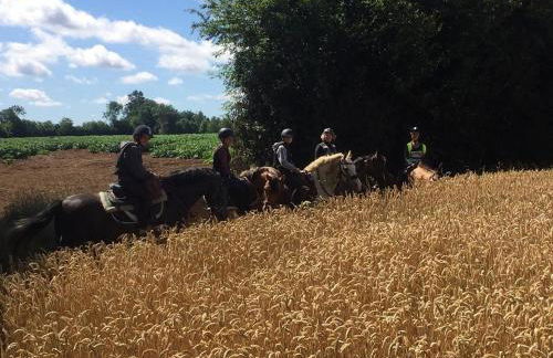 Authentique Maison Normande de village - Foto 50