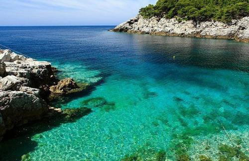 Holiday apartments Maslina Paho - Foto 9