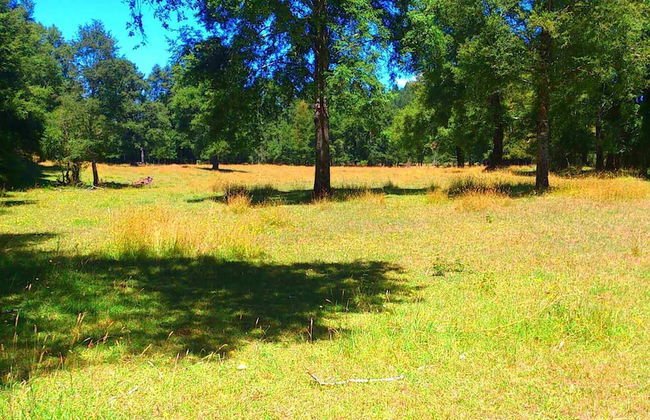 Cabana En La Pradera Lindo Paisaje En Pucon - Foto 23