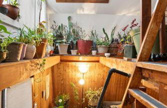 Plant House - Foto 7