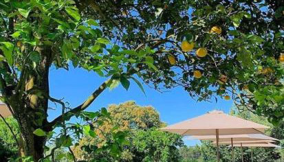 TERRA ROSA COUNTRY HOUSE & VINEYARDS - Foto 2