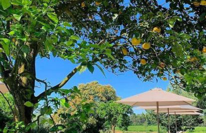 TERRA ROSA COUNTRY HOUSE & VINEYARDS - Foto 2