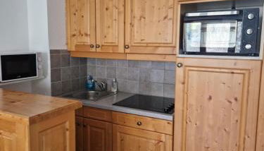 Appartement F2 au pied des pistes - Foto 4