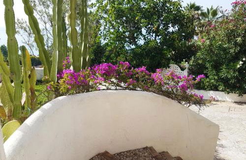 Villa del Sogno - Foto 16