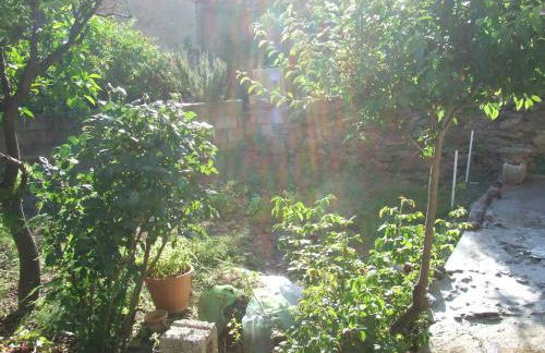 La Corbula - Casa Vacanze - Q5992 - Foto 27