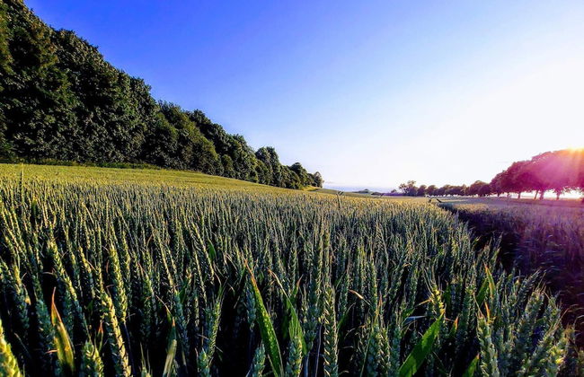 Charming Fisherman's Cottage - By Traum Ferienwohnungen - Foto 18