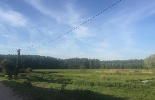 Domek Leśne Zacisze - Foto 23