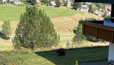 Schwarzwaldblick - Foto 2, Garden