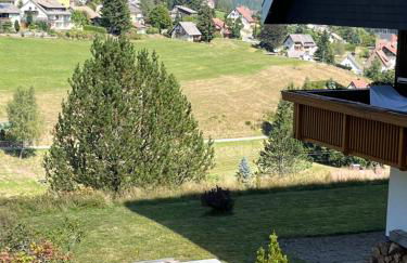 Schwarzwaldblick - Foto 2