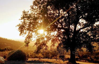 Agriturismo Meridiana - Foto 27