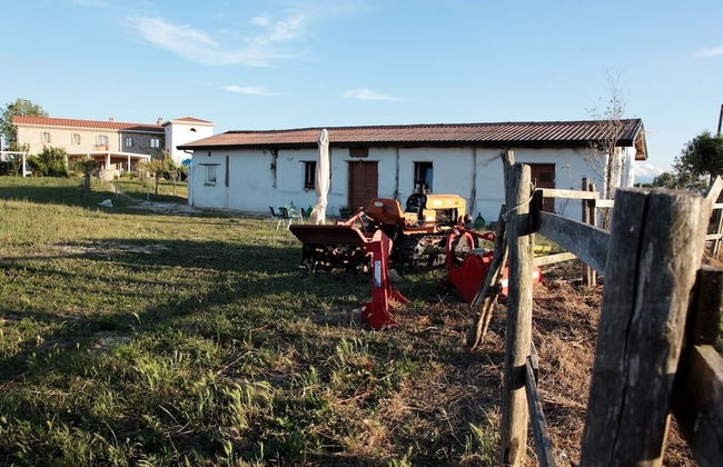 Masseria Fontana dei Fieri - Foto 60