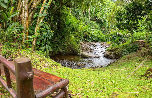 Villa el Bosque La Fortuna - Foto 51