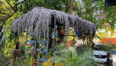 La Bella Fiore - Foto 5, Garden