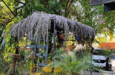 La Bella Fiore - Foto 5