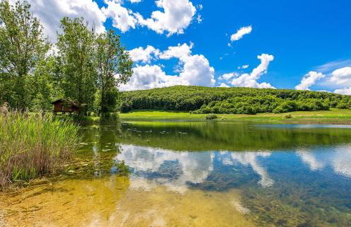 Cozy Home In Prokike With Sauna - Foto 43