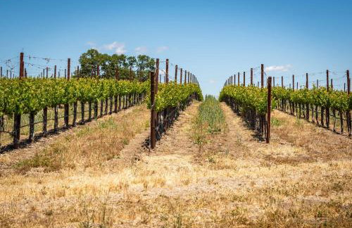 Hilltop Oasis - Foto 56