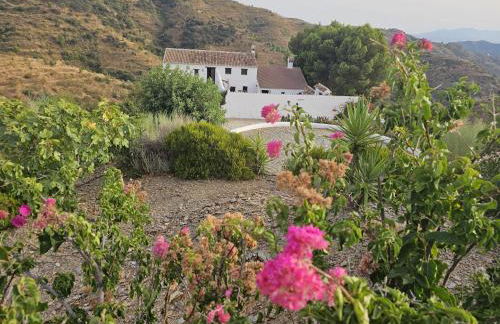 Cortijo J&S Juan Salvador - Photo 34