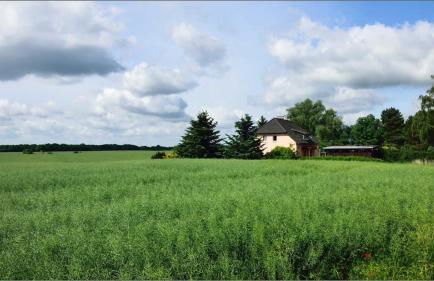 Ferienwohnung Lüssow - Foto 24