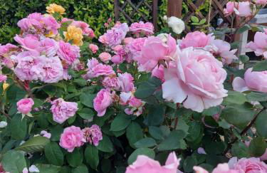 Villa Monica - Foto 10