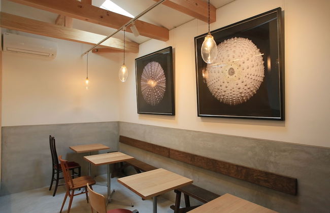 Usagi No Nedoko - Foto 20