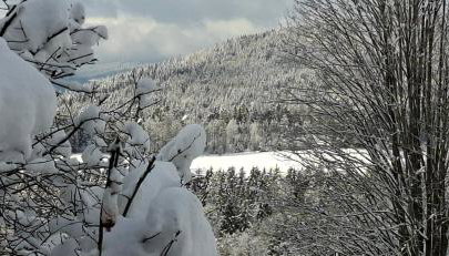 Ferienwohnung Panoramablick- 2 Südhanglage - Foto 3