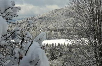 Ferienwohnung Panoramablick- 2 Südhanglage - Foto 3