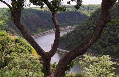 Ferienwohnung RheinSpaziert - Foto 40