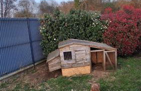 Maison 170m2 entre ville et campagne - Foto 2