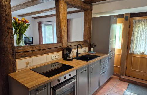 Müritzhof Vipperow direkt am Wasser - Foto 10