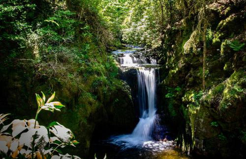 Erholung an den Wasserfällen - Ferienwohnung in Baden-Baden - Stilvolles Apartment mit Terrasse, Parkplatz & ruhiger Lage - Foto 45