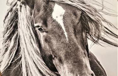 Peak Valley Manor, a Modern Farmhouse - Foto 78