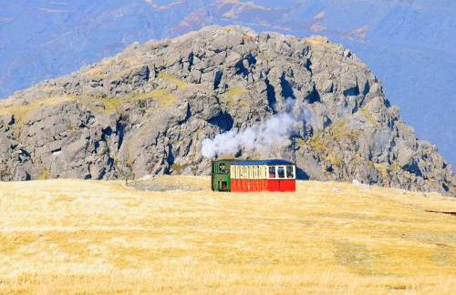 Fron - Cottage - Foto 24